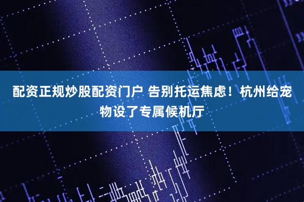 配资正规炒股配资门户 告别托运焦虑！杭州给宠物设了专属候机厅